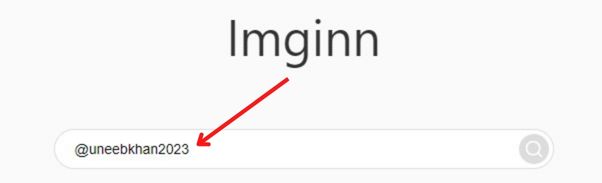 An image of ImgInn Instagram Photos downloading search bar