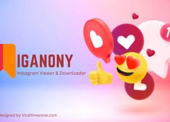 IgAnony Instagram Viewer and Downloader