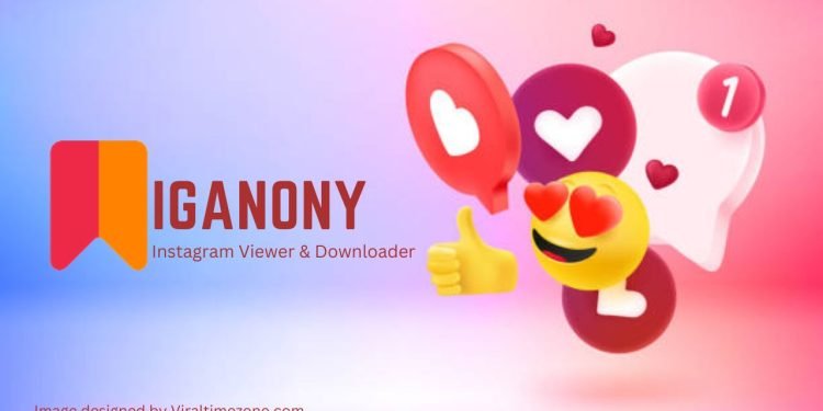 IgAnony Instagram Viewer and Downloader