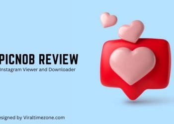 Picnob Instagram Viewer and Downloader