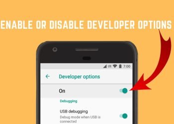 Enable or Disable Developer Options