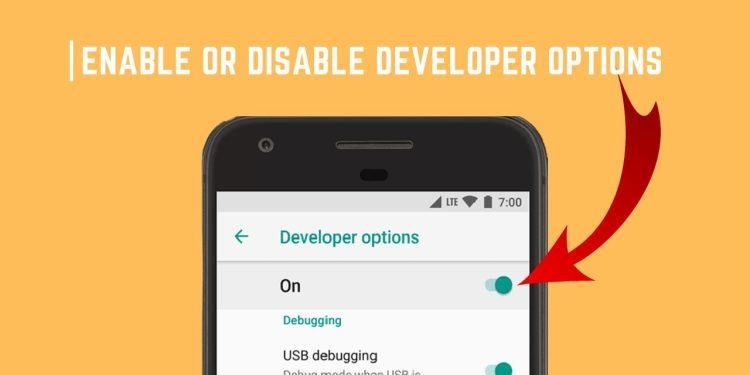 Enable or Disable Developer Options
