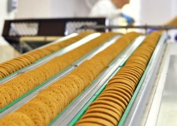 Rise of Gourmet Chef Delivery How Technology is Changing the Food Industry